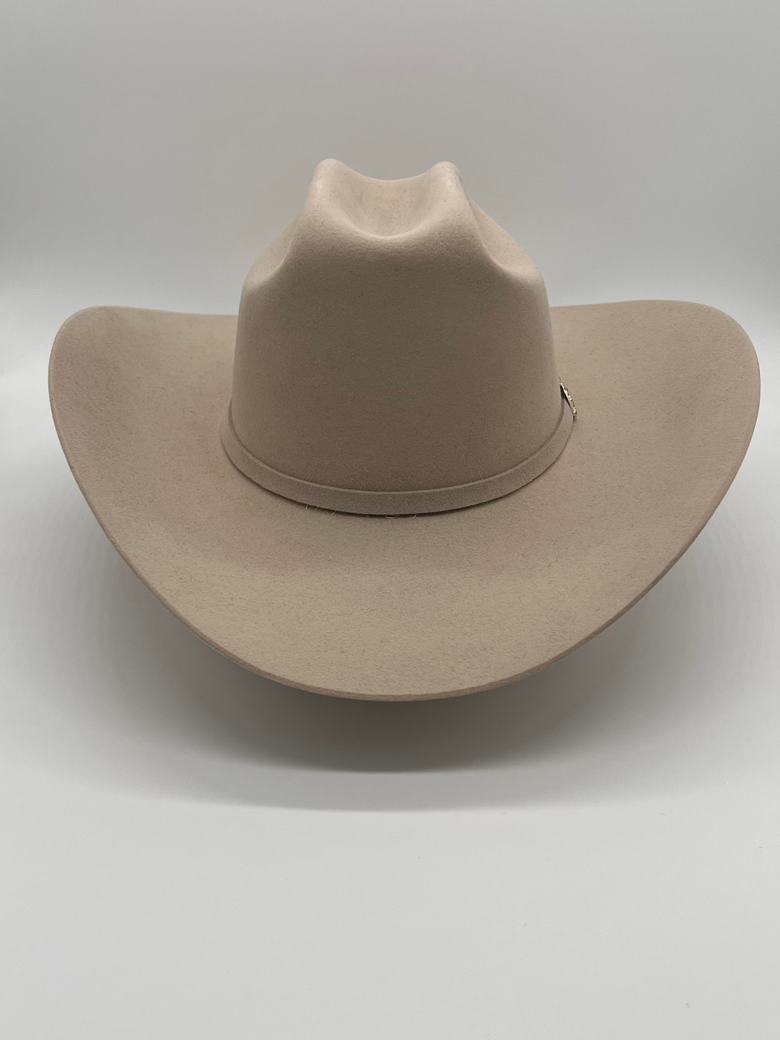 Stetson el patron silverbelly on sale